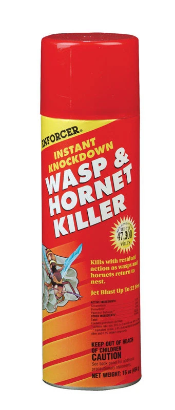 16 Oz. Instant Knockdown Wasp & Hornet Killer With 22 Ft. Spray Range