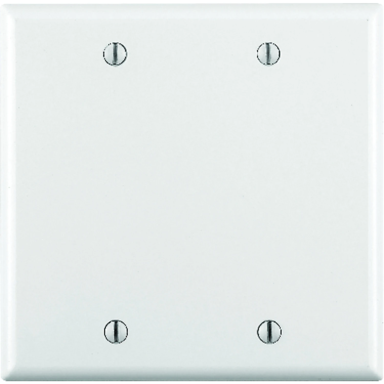 2-Gang Blank Wall Plate, White