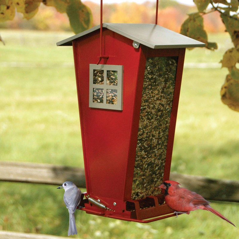 Snack Shack Wild Bird Feeder 7 Lb Steel Squirrel-resistant 2 Ports