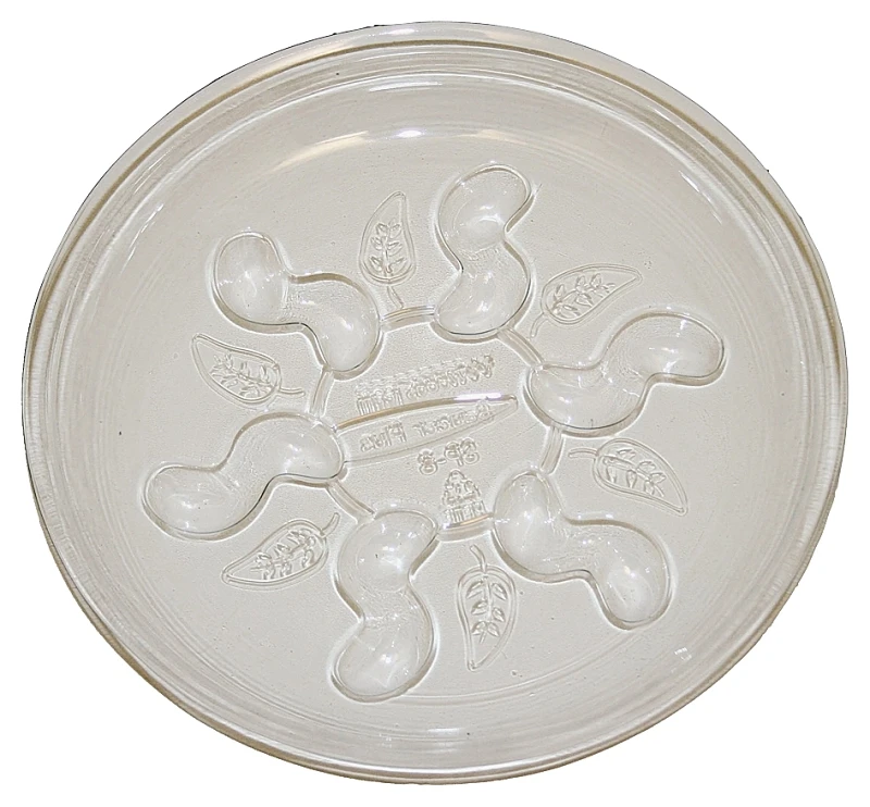 Saucer Plus 10 Inch Waterproof Plant Saucer With Decorative Feet
