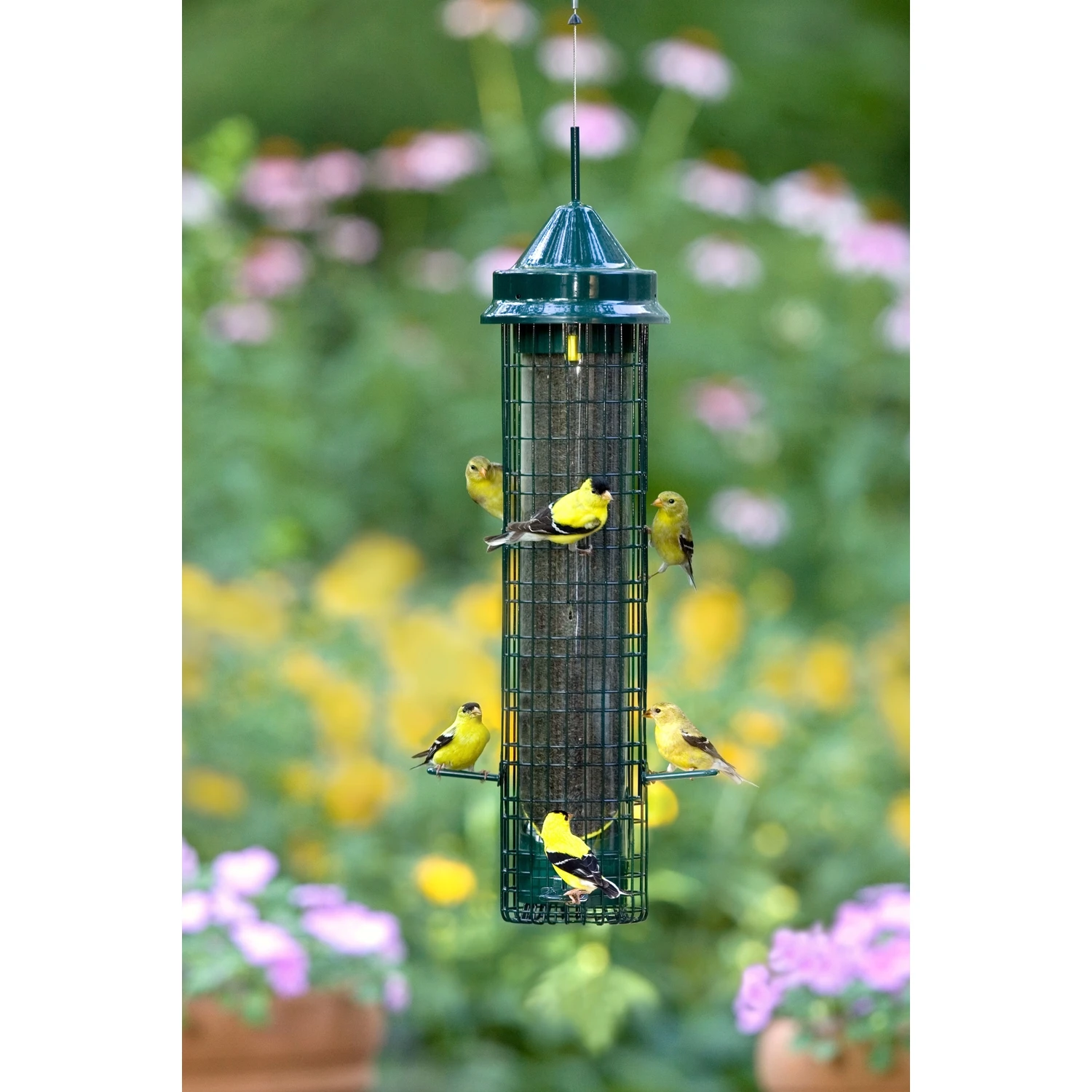 Squirrel Buster Finch Feeder 1.4 Lb With 8 Ports For Nyjer Seed