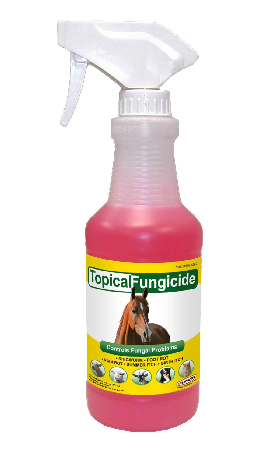 TOPCL FUNGCDE 16 OZ