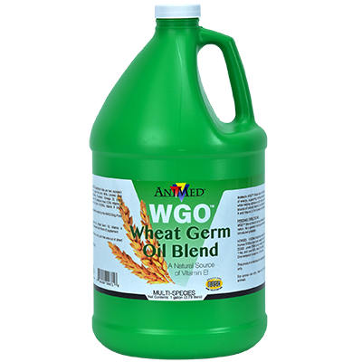 WHEAT GERM OIL BLEND,1GAL
