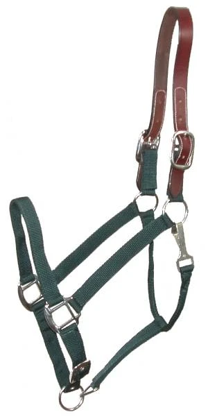 Breakaway Nylon Halter - Hunter Green Cob - Model 5-111305