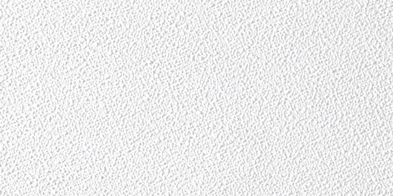 USG Sheetrock 4 ft. L X 2 ft. W 0.5 in. Square Edge Ceiling Panel 1 pk