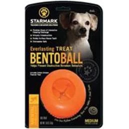 Everlasting Bento Ball Dog Toy With Dental Treat, Medium, Orange