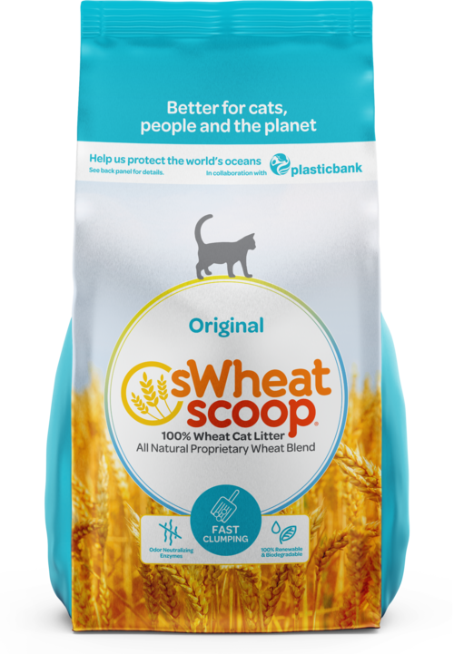 Swheat Scoop Original Natural Wheat Unscented Cat Litter 12 Lb Fast Clumping