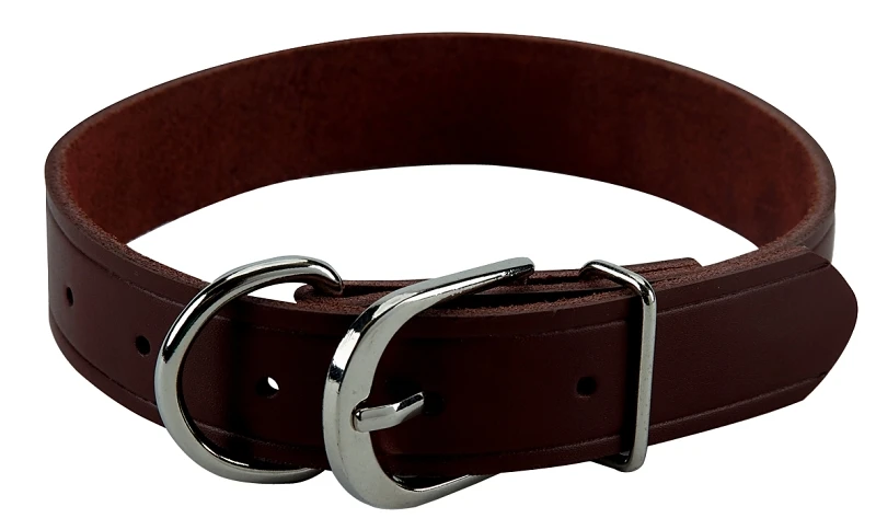 COLLAR HUNTING LEATHER 1X19IN