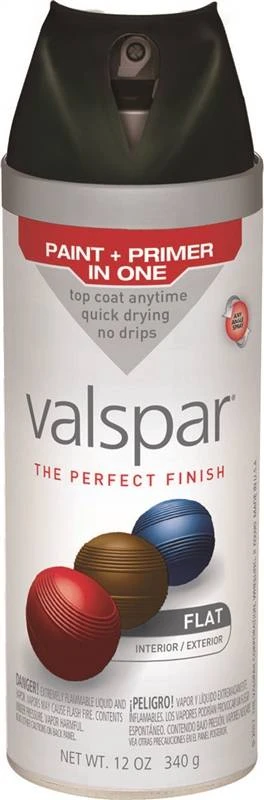 VALSPAR 85050 Multi-Surface Project Perfect Enamel Paint, Flat, Black, 12 oz Can