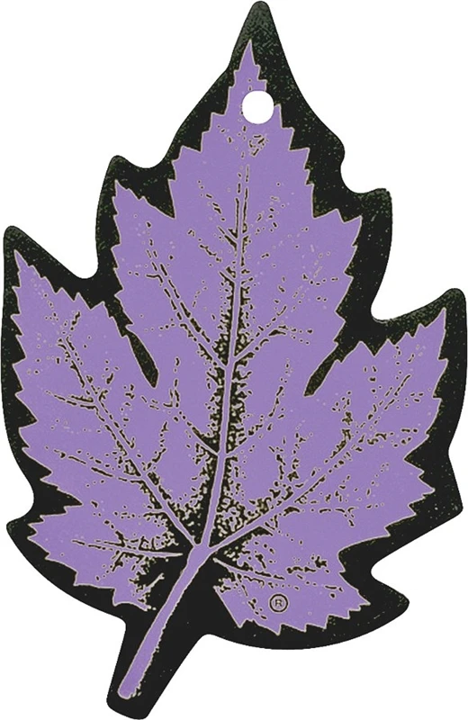 Auto Expressions Leaf Scents NOR49 Air Freshener