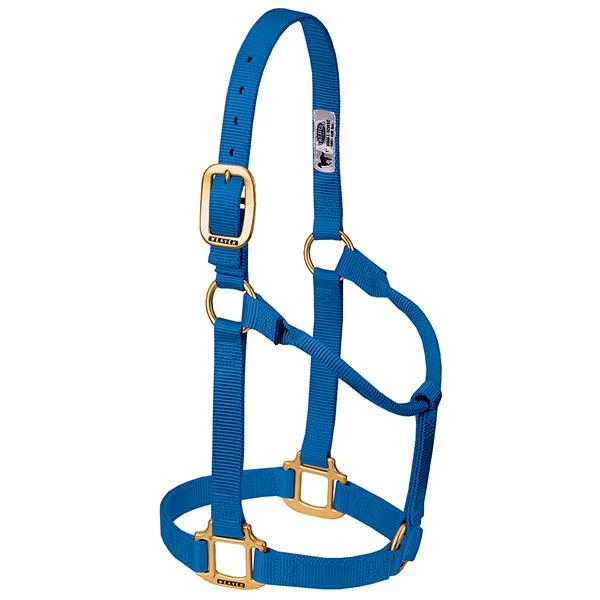 Original Non-adjustable Horse Halter, 1 Inch, Blue, Large Size
