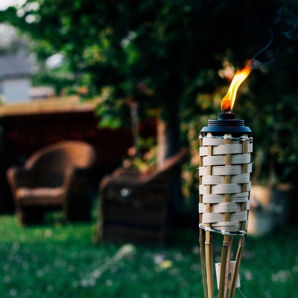 Barbados Bamboo Torch, 57 In.