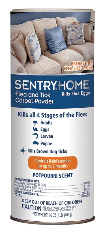 CARPET POWDER FLEA/TICK 20OZ