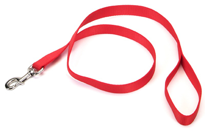 00906 B Red06 1-inch X 6-foot Red Nylon Dog Leash