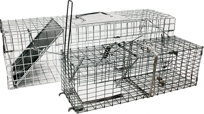 2 Piece Live Animal Trap Set For Squirrels, Rabbits, And Muskrats - Model 52201