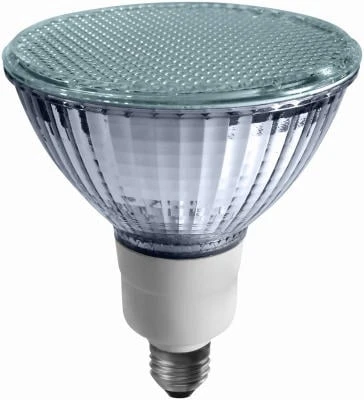 Earthtronics FP3823301B 23W FP38 Westpointe Compact Fluorescent Flood Bulb Soft White