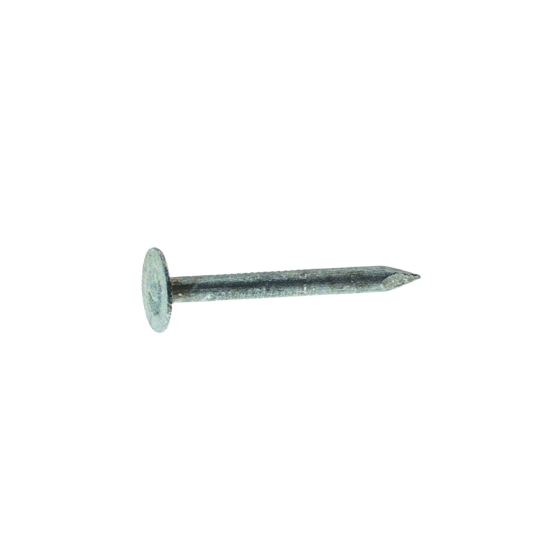7/8 In. Electro-galvanized Steel Roofing Nails Flat Head 5 Lb Box