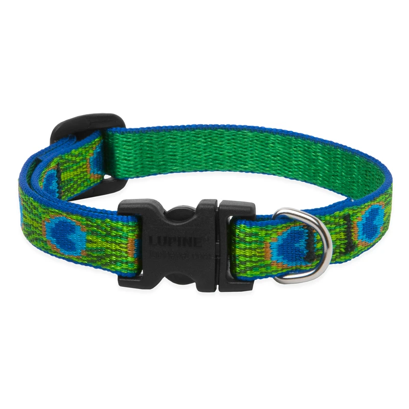 Adjustable Dog Collar, Tail Feather Pattern, 1/2 X 10 To 16 Inches