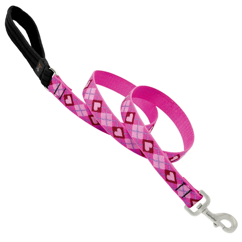 Dog Leash with Puppy Love Pattern, 1 Inch Wide by 6 Feet Long