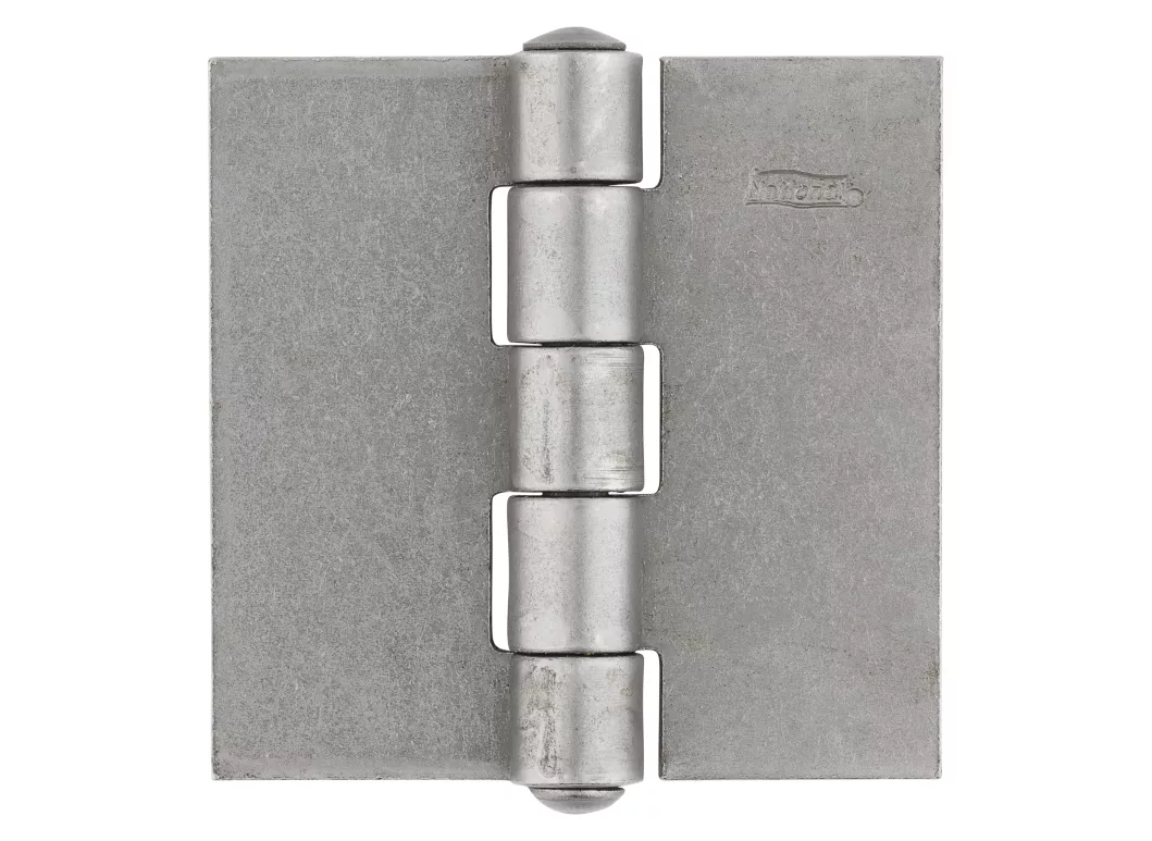 Plain Steel Door Hinge, 2.5 In.