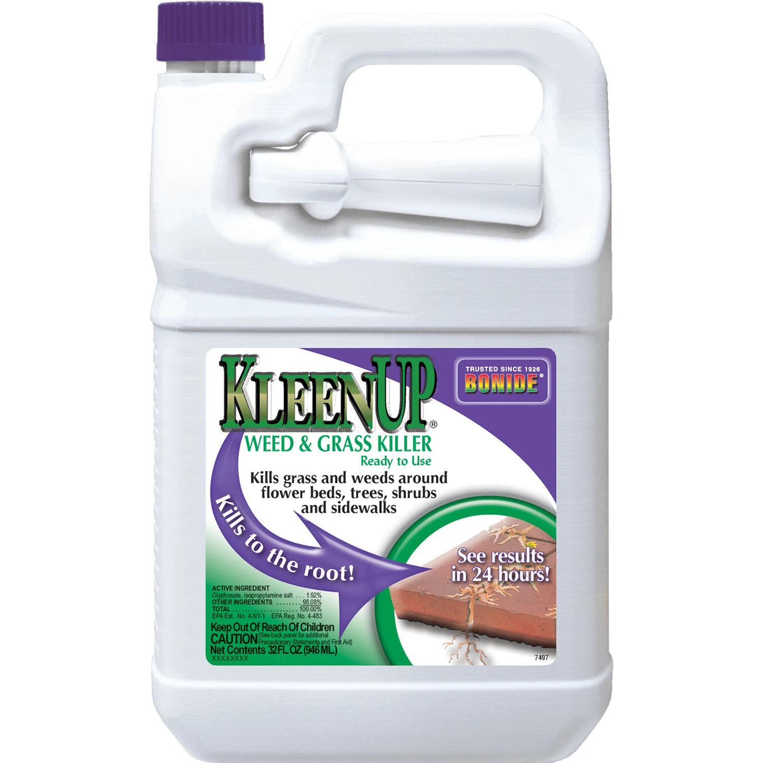 Kleen-Up Ready-to-Use Weed and Grass Killer, 1 Gallon