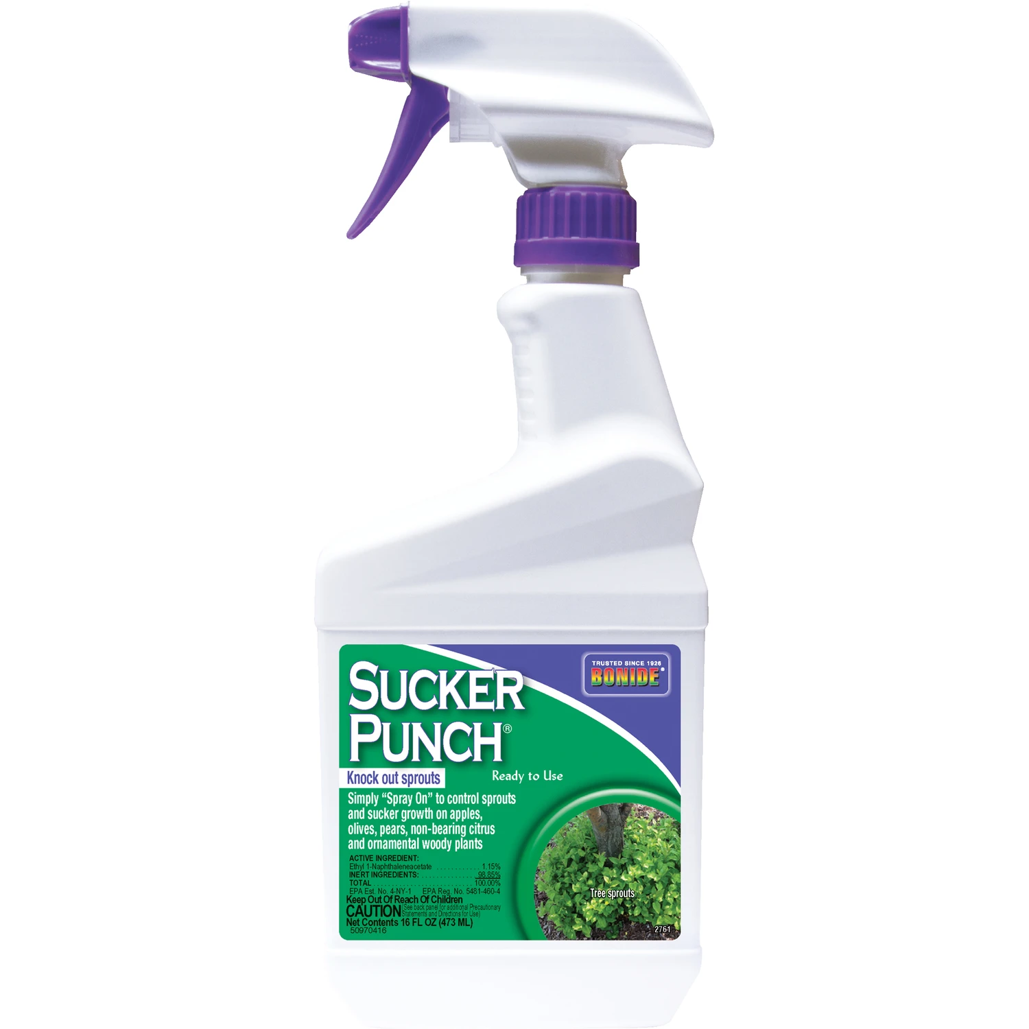 Sucker Punch Tree Roots Killer Rtu Liquid 16 Oz - Effective Broadleaf Weed Control