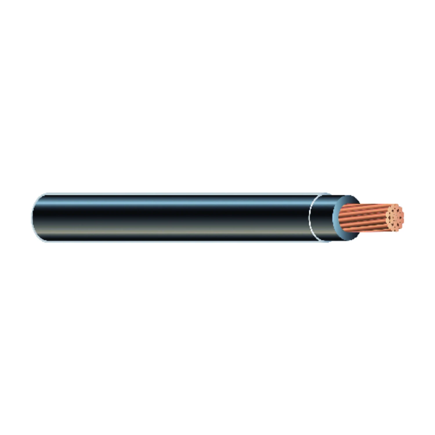 12 Stranded Building Wire Black 50 Feet