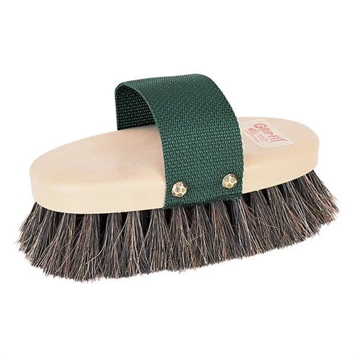 Oval Horse Brush, 7 and 5 Eighths Inches by 3 and 5 Eighths Inches