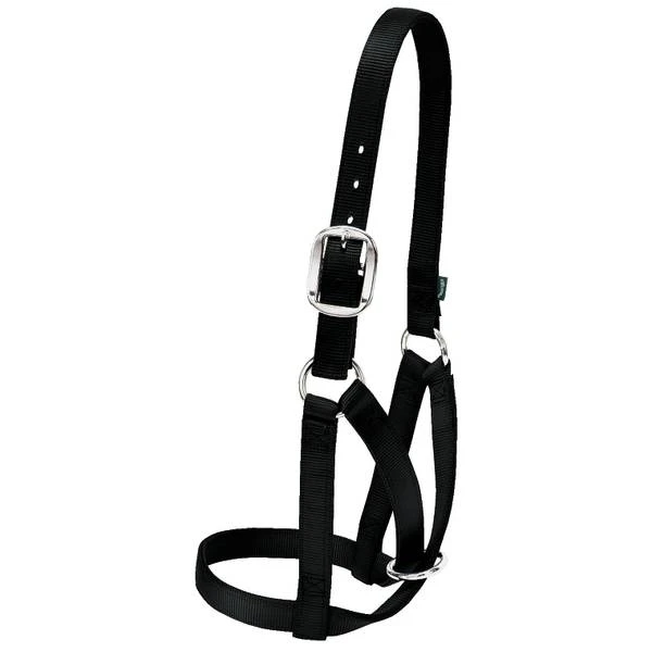 Leather Barn Cow Halter Large 1in Black Durable Design