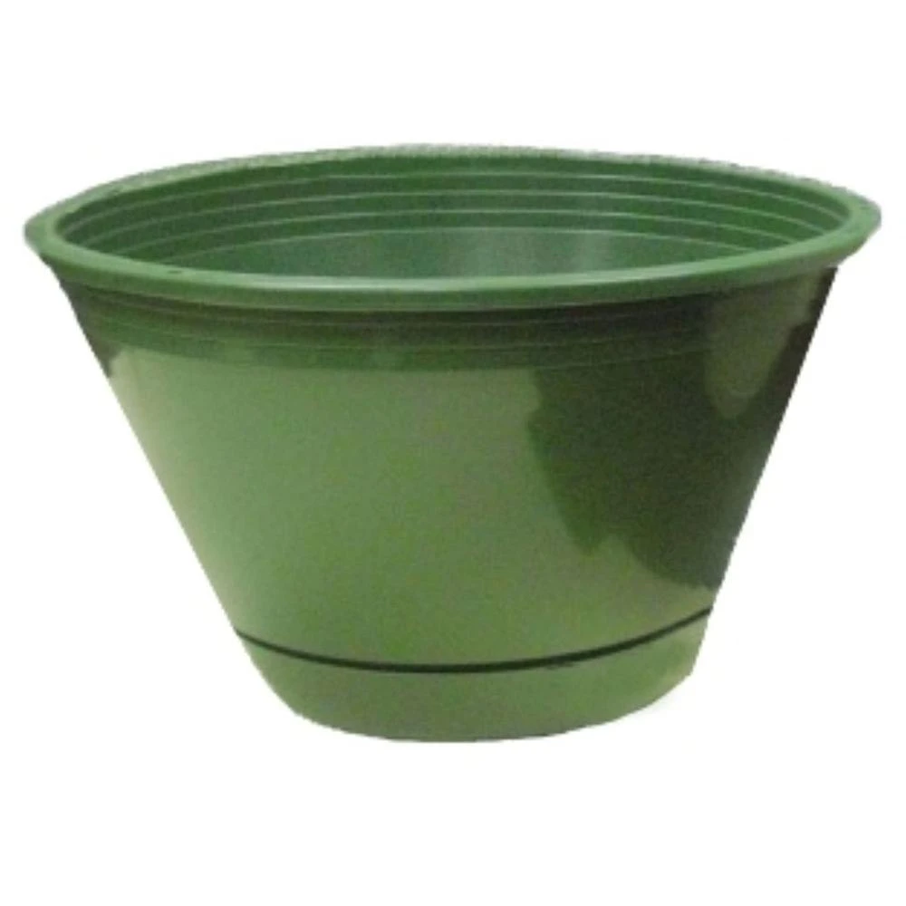 Ames-True Temper EE1025FE Promotional Hanging Basket With Hanger Fern Green 10 In.