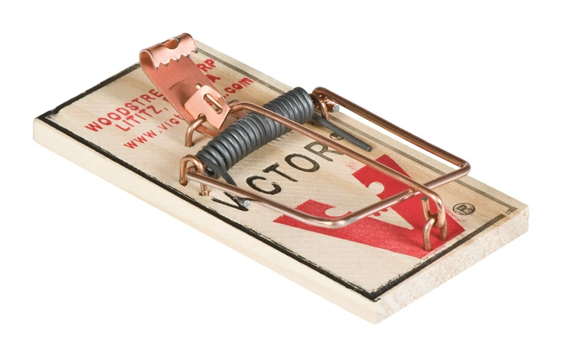 Victor Small Snap Trap For Mice 1 pk