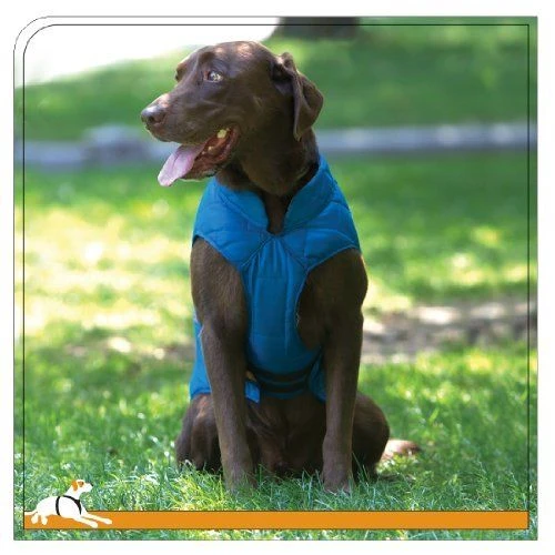 Loft Dog Jacket, Small, Blue/orange - Stylish And Functional Pet Apparel