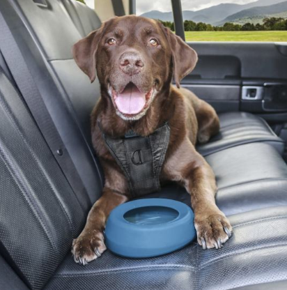 Splash Free Wander Dog Water Bowl, 24 Oz, 7.3" L X 2.75" W X 7.3" H