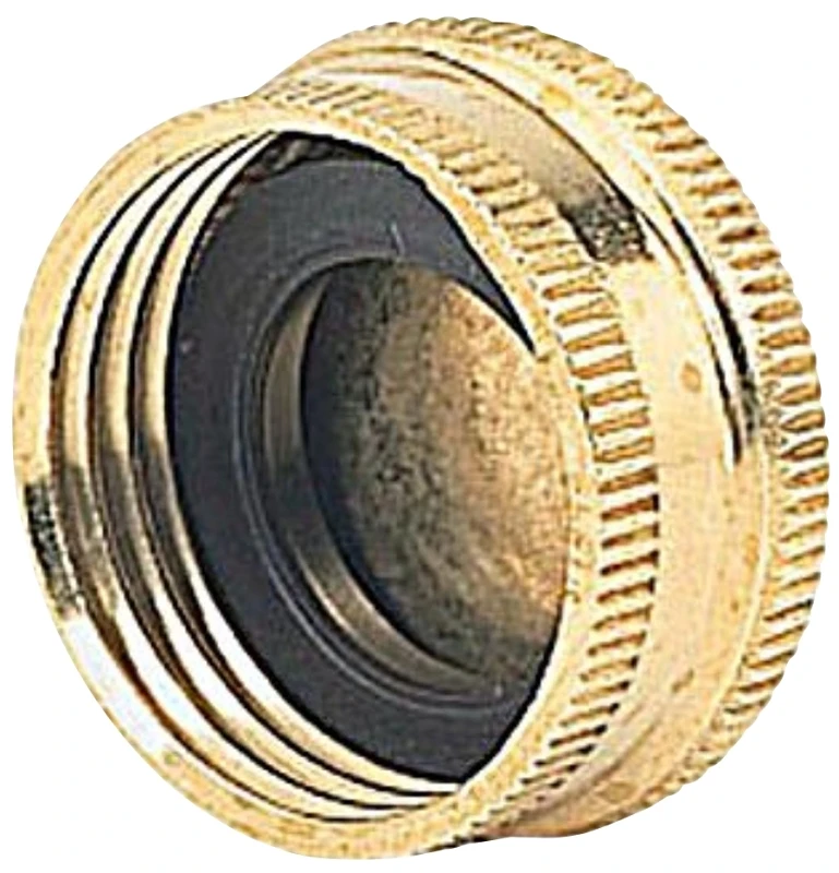 Brass Hose Cap, 2-Pk.