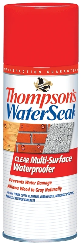 Clear Water-based Multi-surface Waterproofer Sealer, 12 Oz.