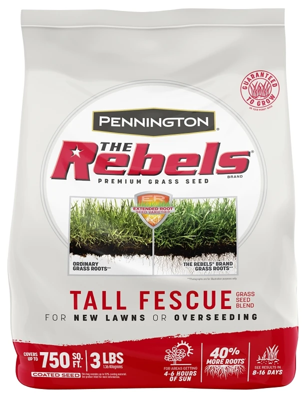 Rebel Fescue Grass Seed, 3 Pounds Bag, High-Quality Lawn Seed