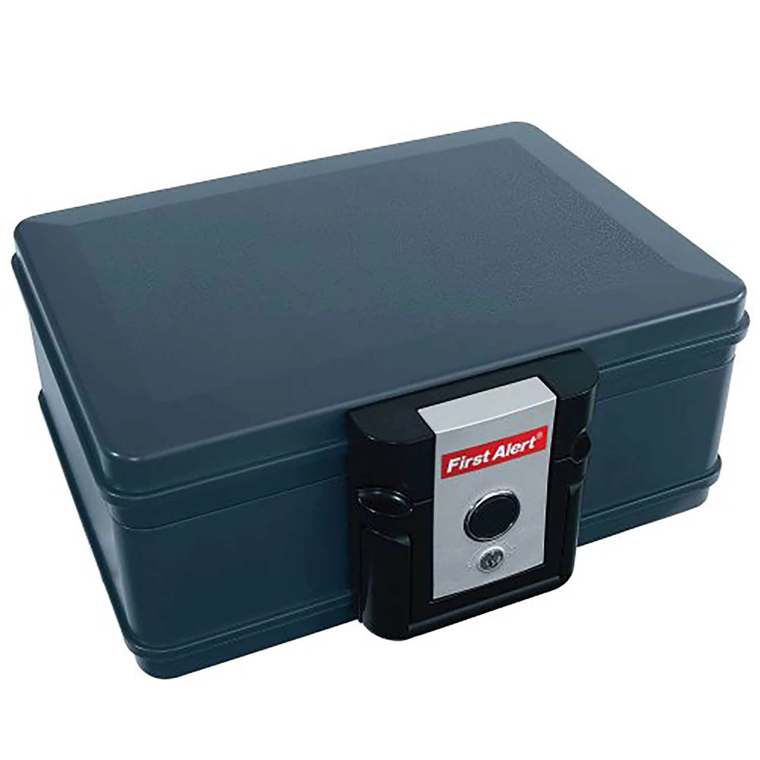 0.17 Cu Ft Key Lock Gray Fireproof Safe Model 2013f