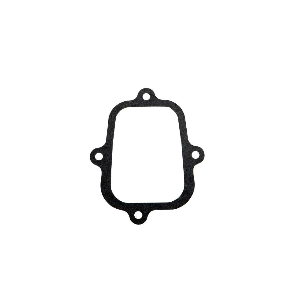 BRIGGS AND STRATTON BS795629 GASKET