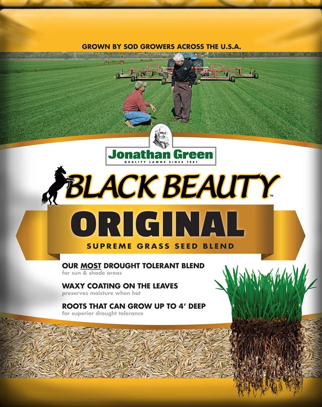 Black Beauty Original Tall Fescue Grass Seed 15 Lb For Sun Or Shade