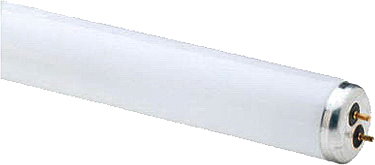 Linear Fluorescent Bulb, T8, Cool White, 32 Watt, 4-Ft.