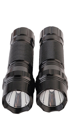 Db12-rz250x2-24 Led Aaa Flashlight Combo, 2-pk With Batteries