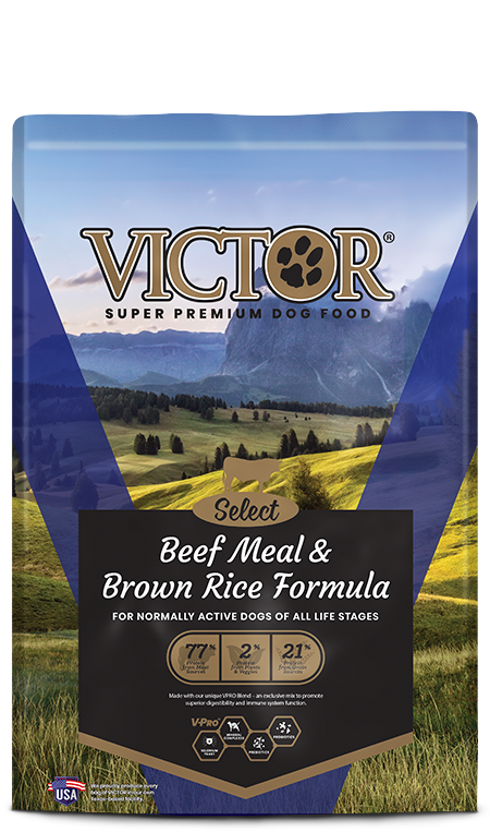Select Beef Meal & Brown Rice Dry Dog Food, 40 Pounds - Gluten-free Formula