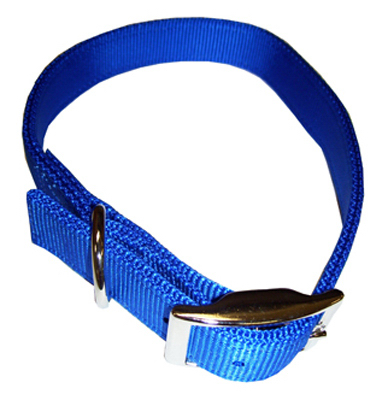 Dog Collar, 2-Ply, Blue Nylon, 1 x 26-In.