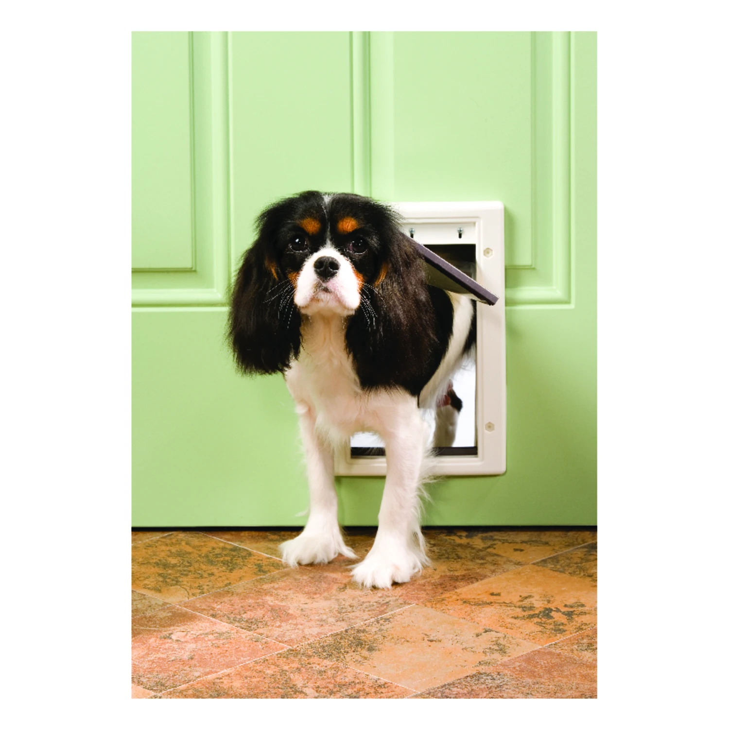 11 In. H X 7.5 In. W Plastic Pet Door For Cats And Dogs