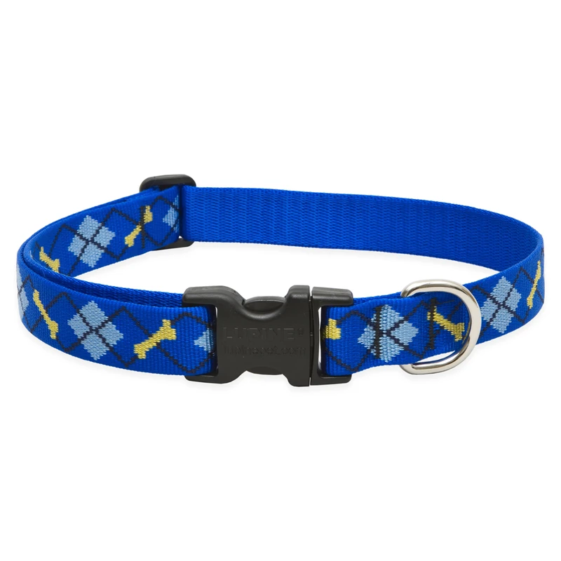 Adjustable Dog Collar by Dapper Dog, 1 Inch Wide, Fits 12 to 20 Inch Neck