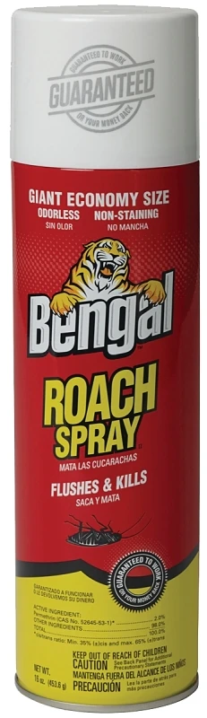 16 Oz. Aerosol Spray Ant & Roach Killer - Effective Insect Control