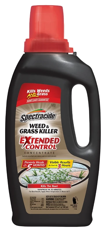 Extended Control Weed & Grass Killer Concentrate 32 Oz With Wand Sprayer