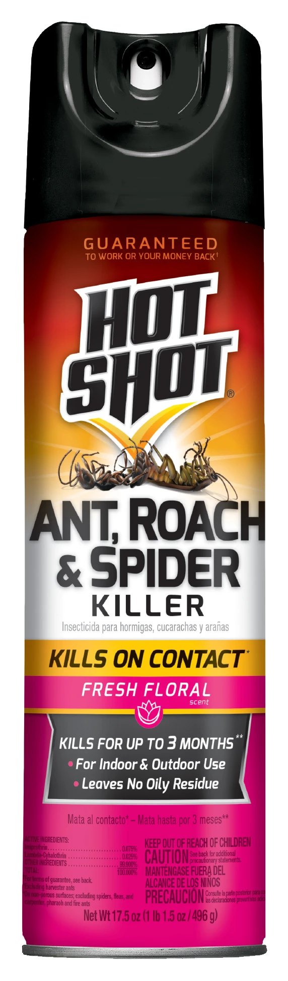 INSECT KILLER FLRL17.5OZ