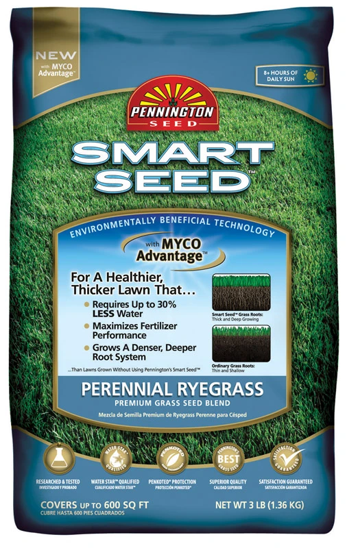 Smart Seed Perennial Ryegrass Sun Or Shade Grass Seed And Fertilizer 3 Lb