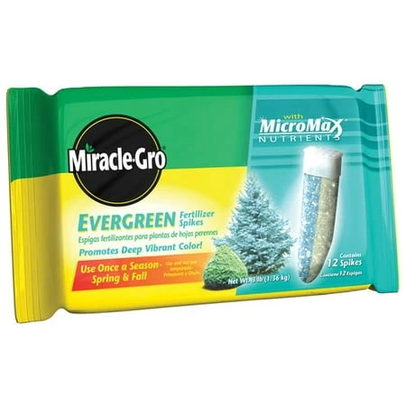 MG 12PK EVERGRNSPIKE